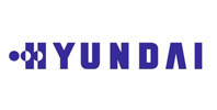 Ремонт посудомоечныx машин Hyundai в Лосино-Петровском