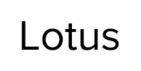 Ремонт стиральных машин Lotus в Лосино-Петровском